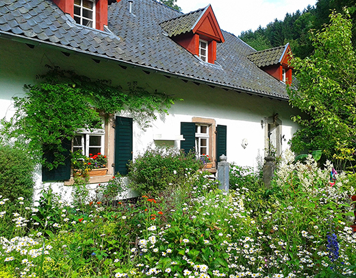 Cottage-Garten im Vorgarten