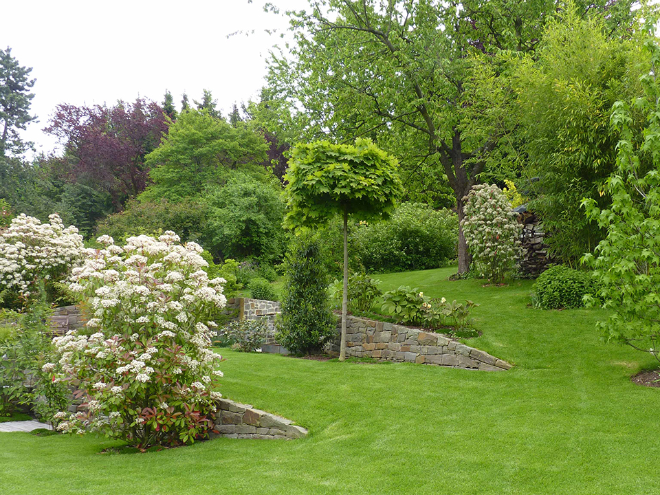 Grüner Garten mit Höhenunterschied und Steinmauer