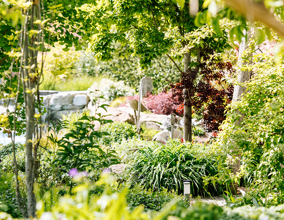 Vielfältig bepflanzter Garten