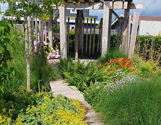 Garten mit bunten Stauden und grünen Gräsern und einem Holzweg