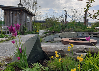 Kleines Gartenhaus, bunte Stauden und viel Grün