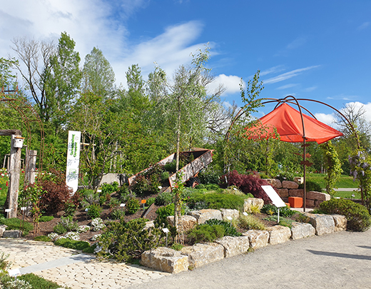 Schaugarten mit Natursteinen, viel Grün und einem Anhänger der Pflanzen und Blumen