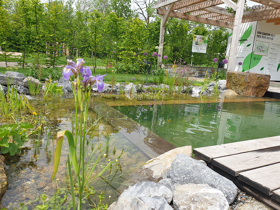 Gartenteich mit Wasserpflanzen und Stauden