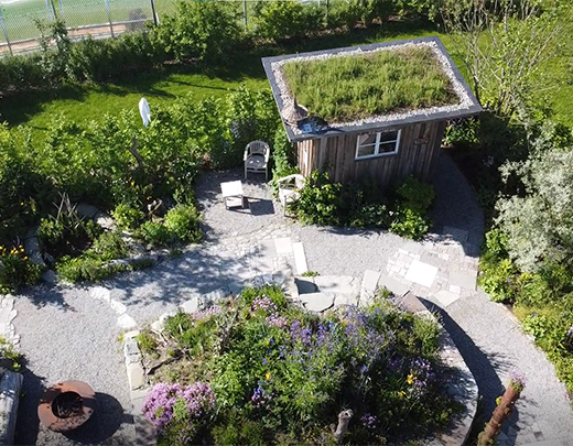 Garten mit Dachbegrünung, einem Gartenweg und vielen Pflanzen