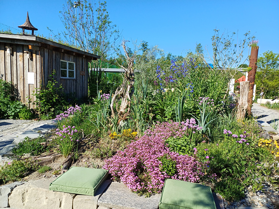 Naturnahe Pflanzen im Garten