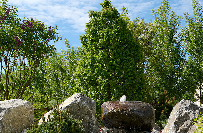 Garten der Kontraste Schaugarten auf der LaGa 2024 in Kirchheim