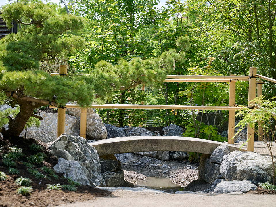 Japanischer Garten mit Brücke aus Stein und Bambus