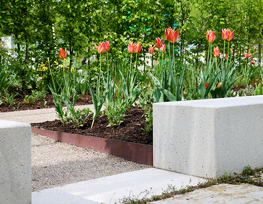 Gartenausschnitt von einem Tulpenbeet