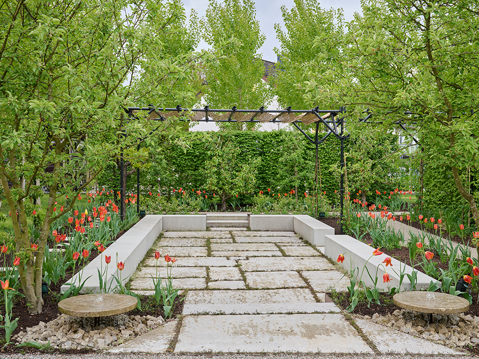 Begrünte Fugen im Garten; Tulpen und Sonnenschutz