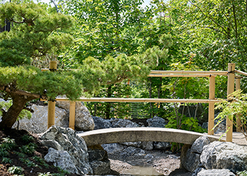 Brücke aus Bambus im Garten