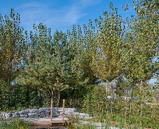 Naturgarten Ort des Lebens Schaugarten auf der LaGa 2024 in Kirchheim