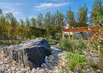 Hanggarten mit vielen Stauden und Gräsern